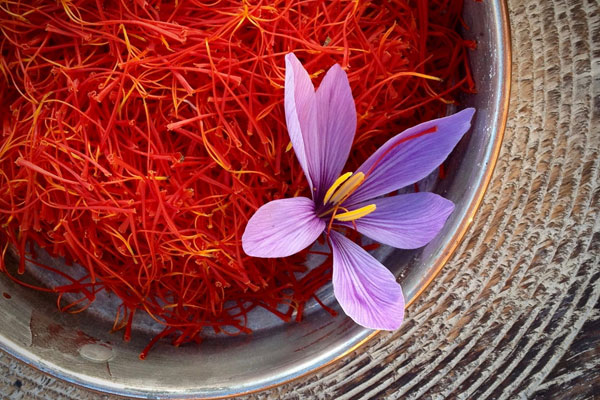 Meeting India’s growing demand for saffron