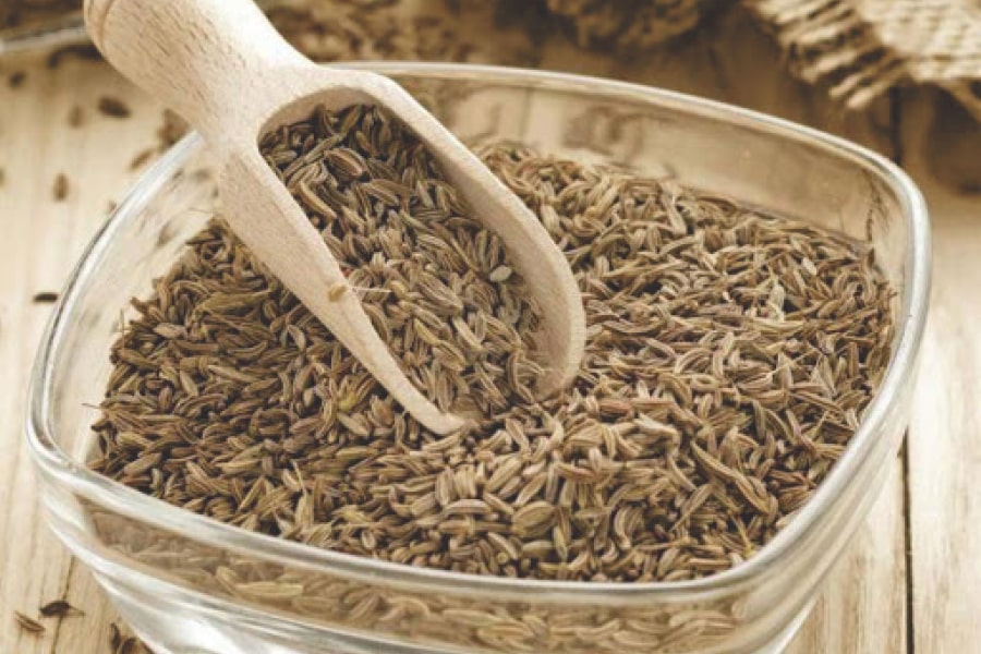 Cumin seeds exports: Sailing with the tide