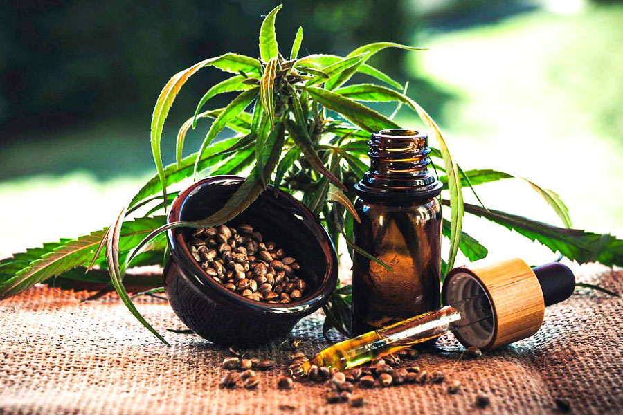 Export of cannabis derivatives: A big opportunity for India