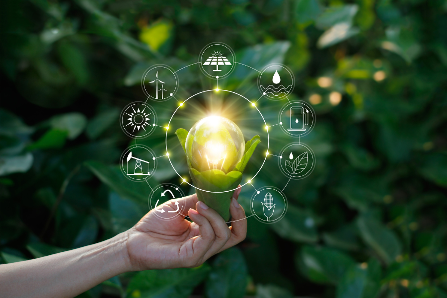 Renewables: India’s transition towards a greener economy