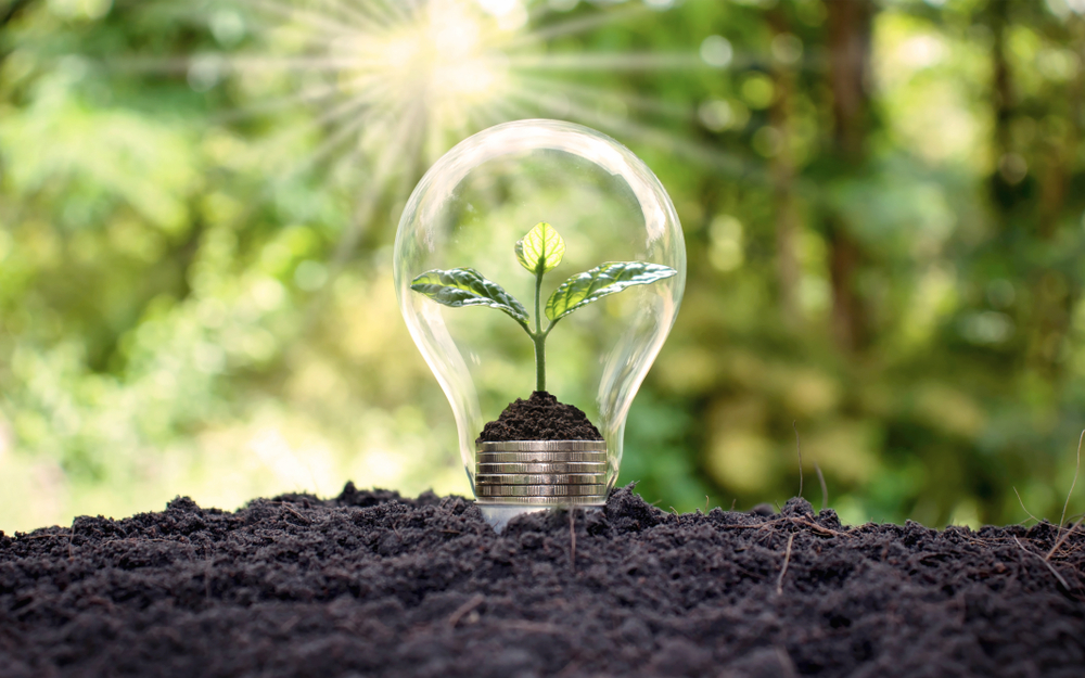 Race to 600 GW: Can India power its future without fossil fuels?