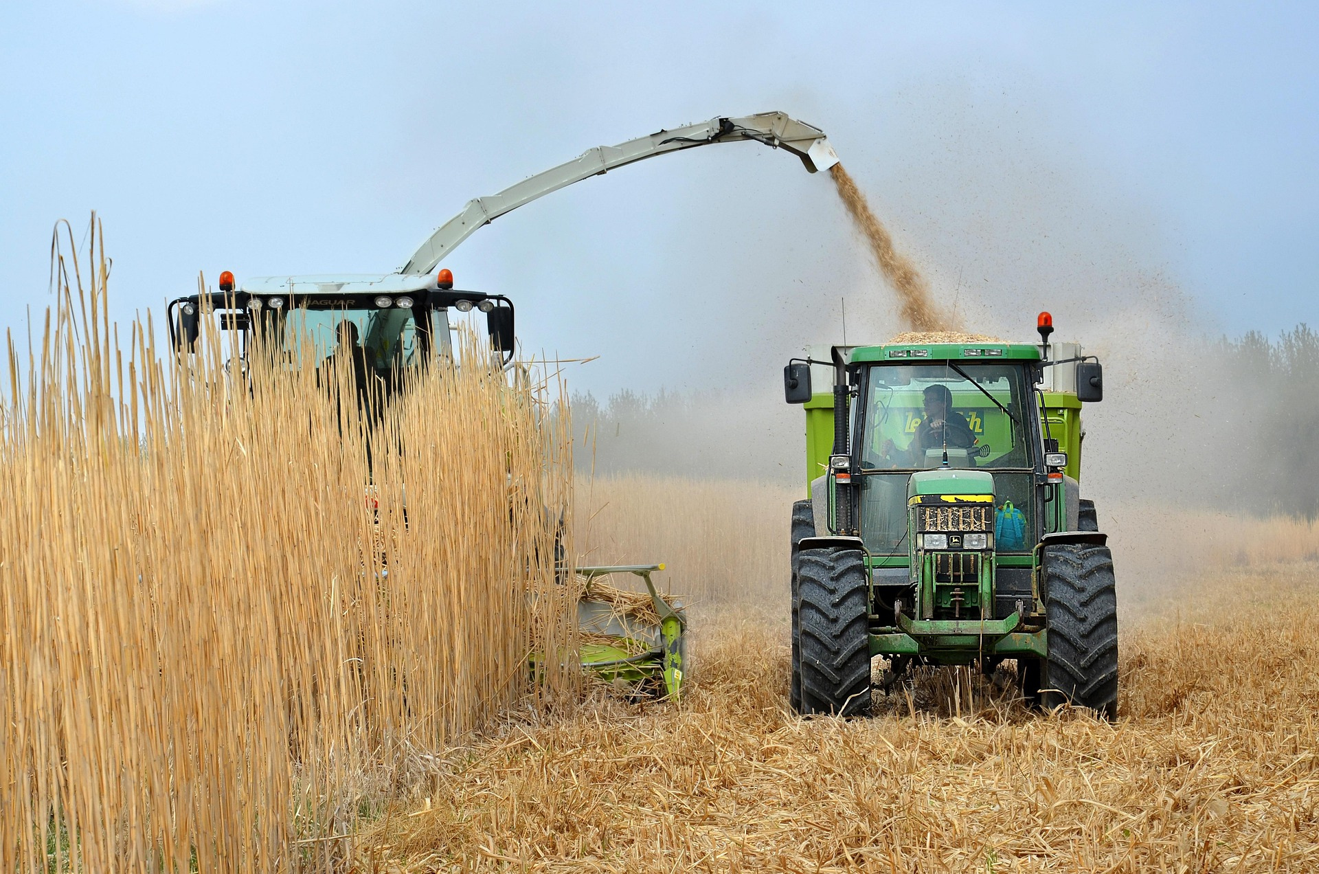 How biofuels are strengthening India’s energy backbone
