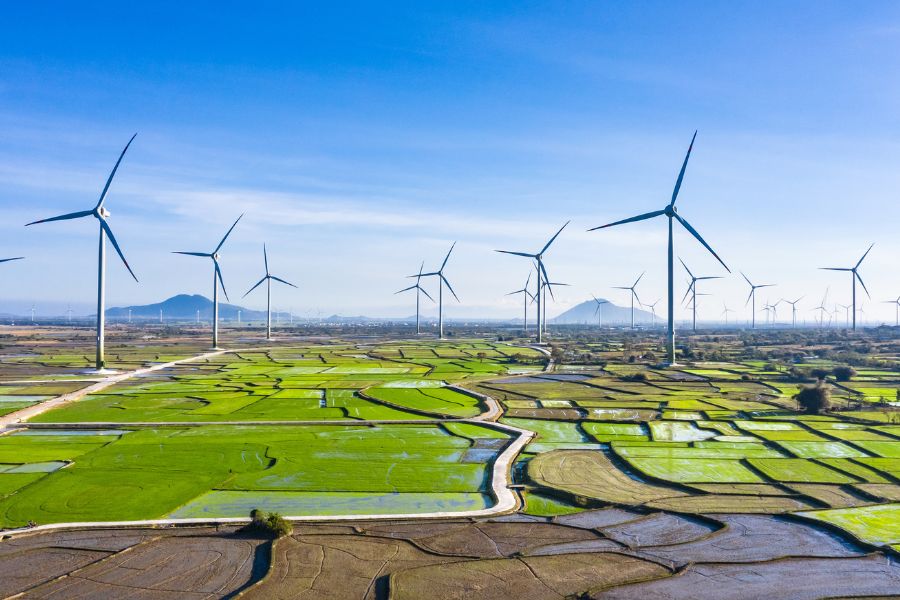 India hits 50% non-fossil power capacity, 5 years early